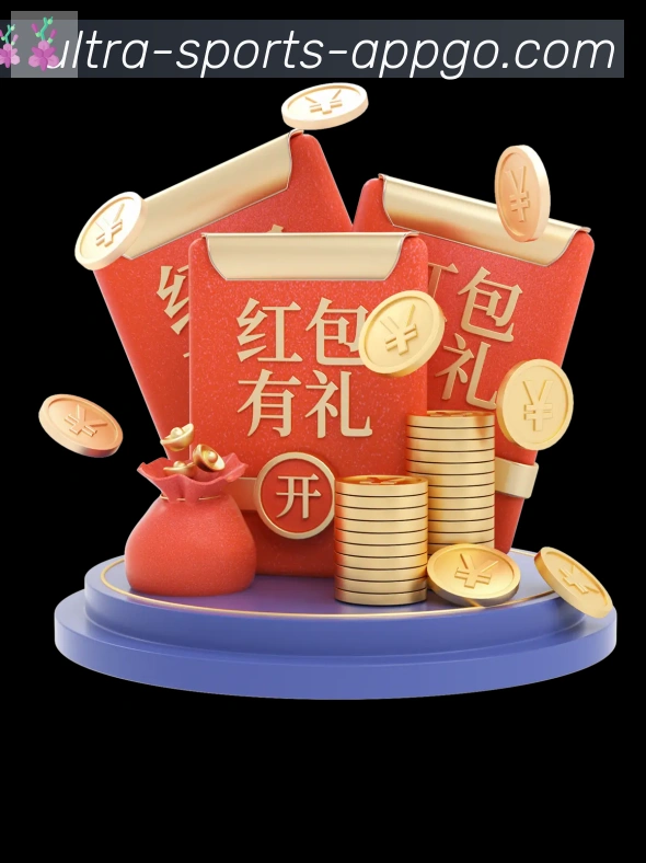 未来规划